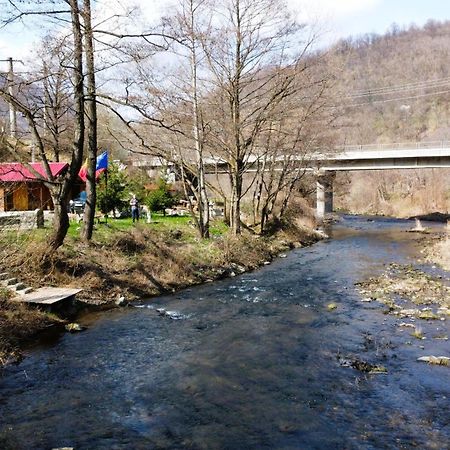 Eden Natural Resort - Transalpina Capalna エクステリア 写真