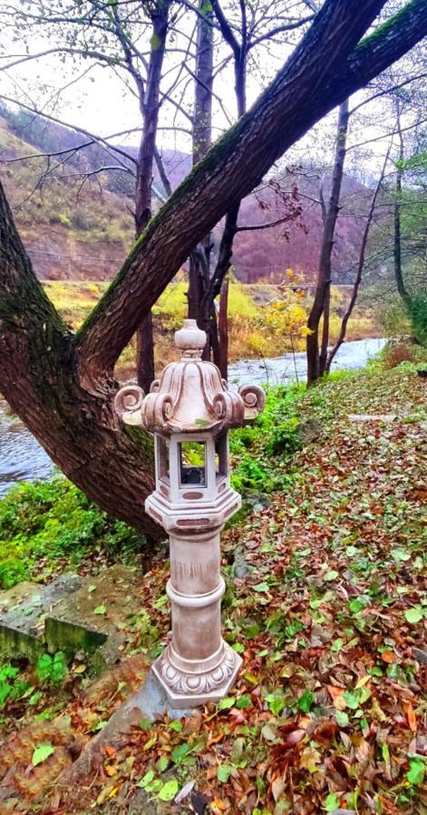 Eden Natural Resort - Transalpina Capalna エクステリア 写真