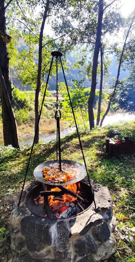 Eden Natural Resort - Transalpina Capalna エクステリア 写真