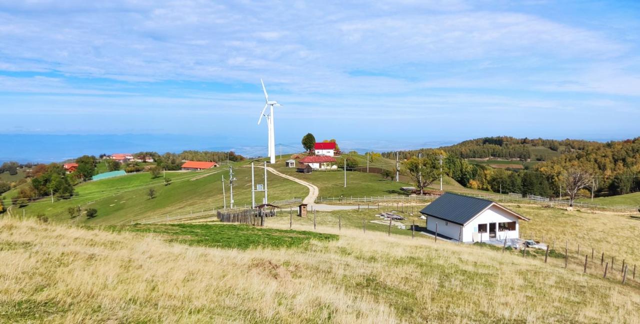 Eden Natural Resort - Transalpina Capalna エクステリア 写真