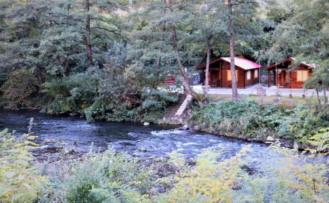 Eden Natural Resort - Transalpina Capalna エクステリア 写真