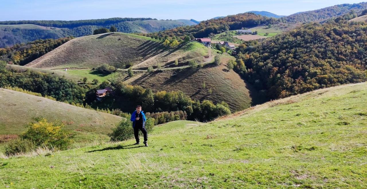 Eden Natural Resort - Transalpina Capalna エクステリア 写真