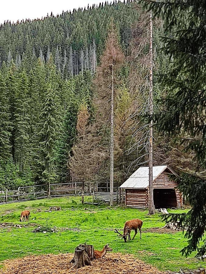 Eden Natural Resort - Transalpina Capalna エクステリア 写真