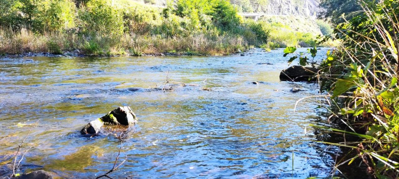 Eden Natural Resort - Transalpina Capalna エクステリア 写真