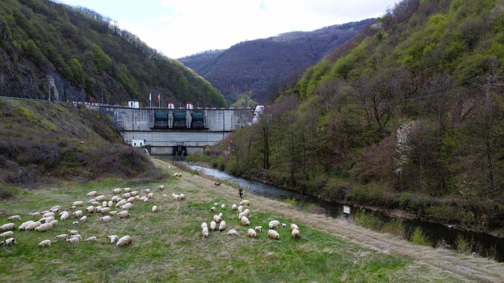 Eden Natural Resort - Transalpina Capalna エクステリア 写真